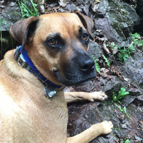 👉🏽👉🏽👉🏽 randomly ready (😆)! 👀👀👀 - Picture 3 of 7